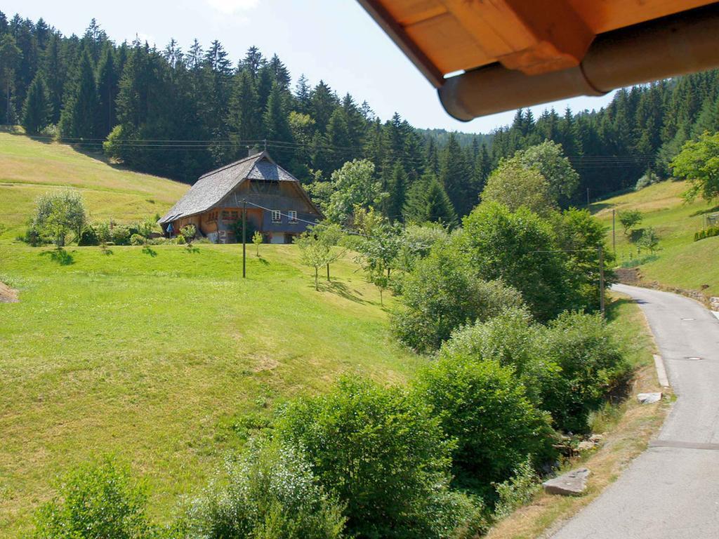 Gastehaus Herrmann Bad Rippoldsau-Schapbach Extérieur photo