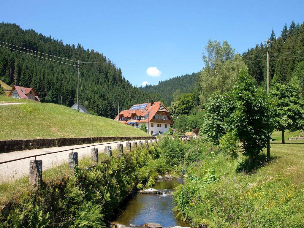 Gastehaus Herrmann Bad Rippoldsau-Schapbach Extérieur photo