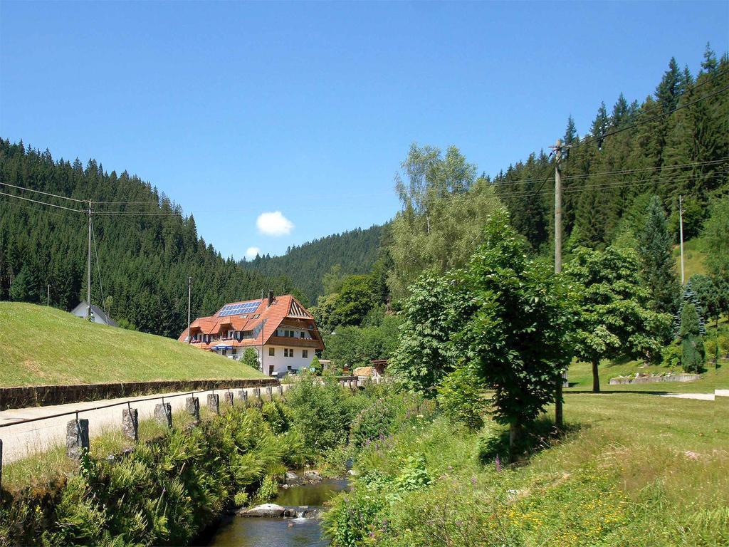 Gastehaus Herrmann Bad Rippoldsau-Schapbach Extérieur photo